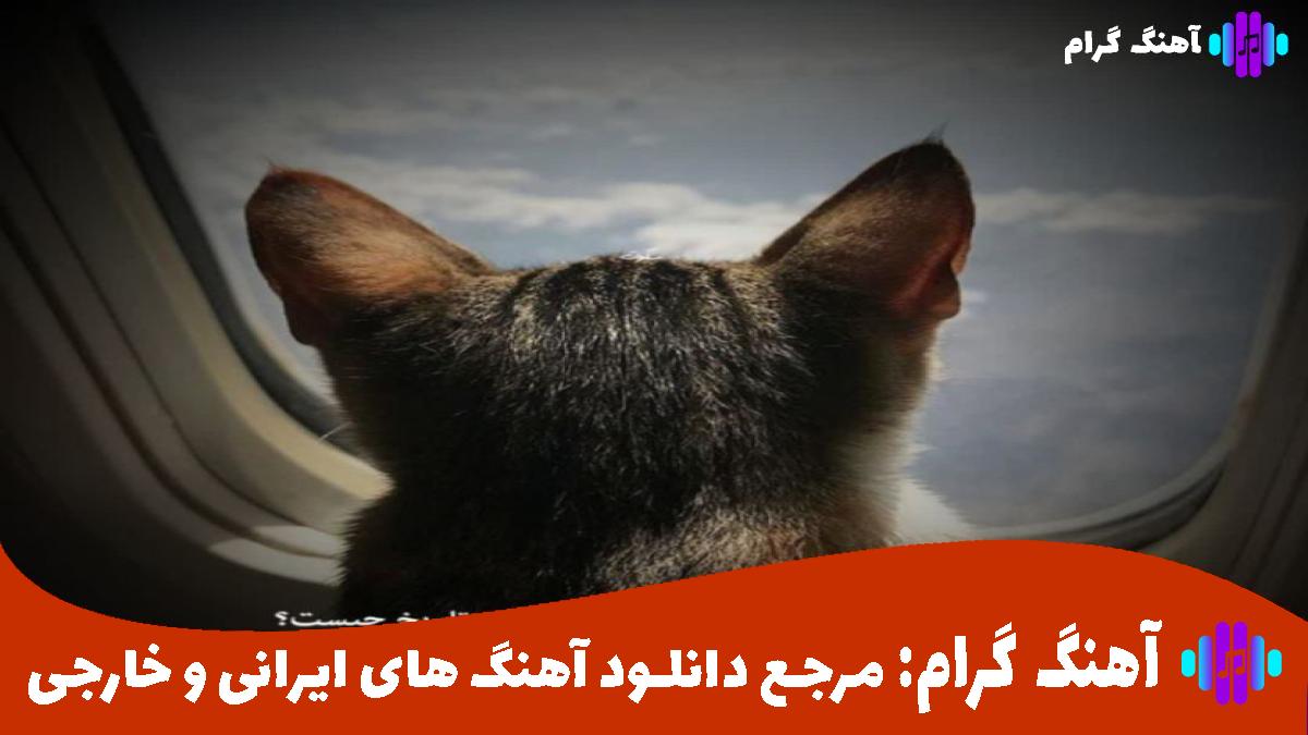 کاور آهنگ چیکار میکنی با دلی که تنگه از سیاوش علایی